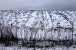 Евгений Степанов :  