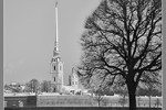 Александр Адамович : Классика в графике 