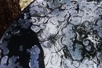Крестина Лазовская : Без названия 
