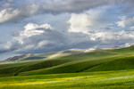 Nerses Matinyan : Armenia 
