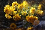 Светлана Пазухина : Золотые шары 