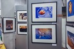 Скоморохов Александр : Открытие Международной фотовыставки «YELLOW» состоялось 12 сентября 2018.  