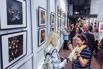 Скоморохов Александр : Открытие Международной фотовыставки «YELLOW» состоялось 12 сентября 2018.  