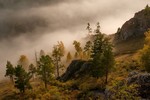 Марина Фомина : С первыми лучами. 