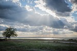 Алексей Щукин : Пасмурное побережье 