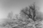 Александр Голубев : Осень 