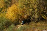 Люция Буторина : Осень в Коломне 