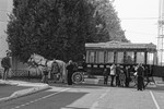 Люция Буторина : телега жизни 