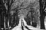 Геннадий Новов : Поворот 