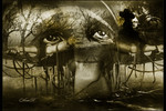 Анна Николаева : I looked at the world with my heart.. 