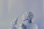 Ольга Ярославцева : Геометрия вращения 