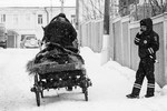 Андрей Кульков : Untitled 