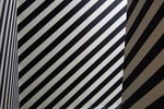 Elena Bizunova (Бизунова) : BLACK, WHITE, LIGHT 