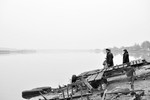 Халва Икотики : Берег Волги 