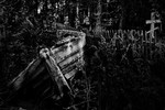 Максим Мишин : Тихий барк 
