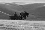 Марина Фомина : Будни. 