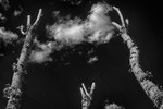 Алексей Базыкин : Три тополя на Спиридоновке 