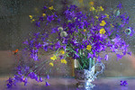 Luiza Gelts : Bluebell 