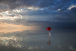 Vadim Fedotov : Walking on water 
