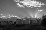 Наталья Петрушова : Новостройки. 