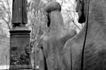 Елена Альфонская : Тени прошлого.  