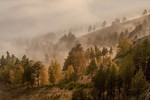 Марина Фомина : С первыми лучами. 