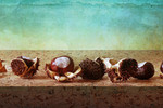 Stanislav Solagayan : with chestnuts 