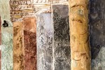 Виктория Гринева : Суздаль 