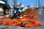 Vladimir Tolubaev : Port ... Jaffa ... 