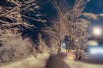 Наталья Петрушова : Зимняя сказка 