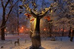 Сергей Григорьев : У дерева желаний 