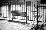 Юрий Полушин : Bench 