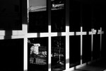 Илья Михайлов : Медицинская реформа 