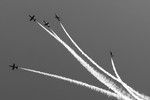Андрей Богданов : freedom... 