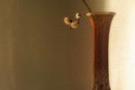 Татьяна Захарова : Весна 