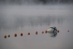 valery vediashkin : Туман на озере Белое 