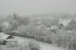 Olga Zhloba : Winter 
