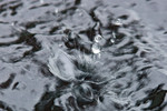 Татьянка Сухова : Стихия воды 