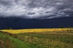 Павел Акмен : А грозы не было ..... 