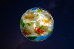 Vladimir Berezovsky : That's my planet! 
