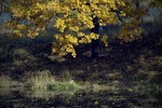 Phedor Phedorov : Осень 