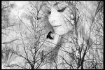 Анна Николаева : just believe 