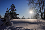 Светлана Якимова : *** 