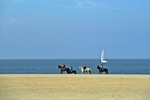 Marina De Weerdt : Noorde zee. Nederland 