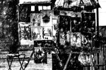 Maria Kremneva : Untitled 