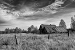 Светлана Якимова : *** 