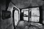 A. Dalla : HABITAT / СРЕДА ОБИТАНИЯ 