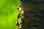 Наталья Волобуева : Нужно поддерживать крепость тела, чтобы сохранить крепость духа.• Гюго Виктор Мари 
