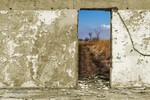 Евгений Кирюхин : выход есть... 