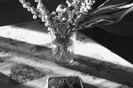 Галина Григорьева :  Ландыши 